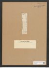 Synedra filiformis Grun. (de-Toni-Nr.: Genus 66, Species 2594) Zeichnungen Sammlung Grunow Nr. 5293 (NHMW-BOT-W0373683)